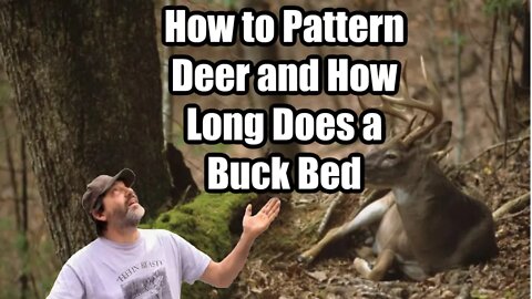 Patterning Deer and How Long Does a Buck Lay in His Bed? With Dan Infalt