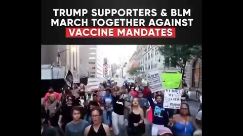 BLM And Trump Supporters March Together In Unity