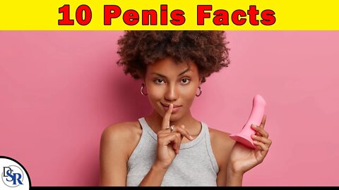 10 Fascinating 𝗙𝗮𝗰𝘁𝘀 𝗔𝗯𝗼𝘂𝘁 𝗧𝗵𝗲 𝗣𝗲𝗻𝗶𝘀 You Did NOT Know