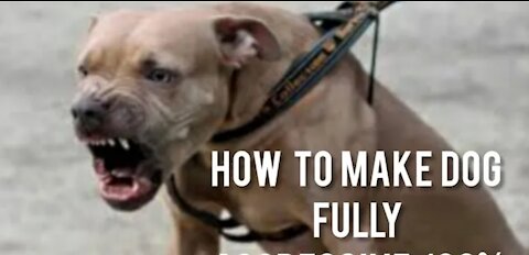 Learn simple tricks to make your dog aggressive