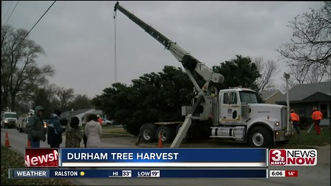 Durham Christmas Tree holds special meaning