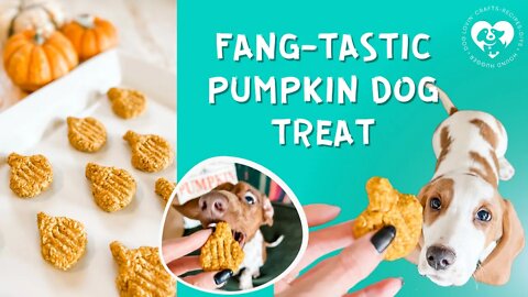 No Bake Fang-tastic Pumpkin Dog Treats