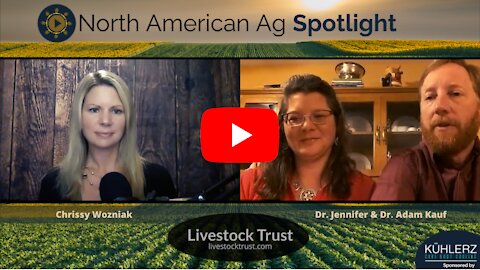 Safe livestock handling with dairy veterinarian Dr. Jennifer Kauf & dairy nutritionist Dr. Adam Kauf