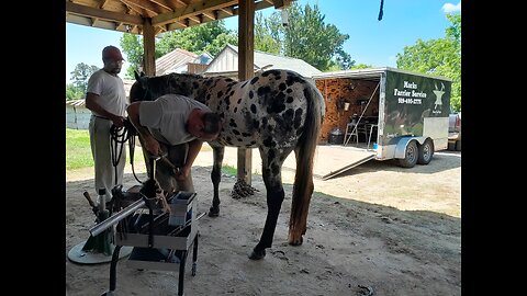 Patient farrier gets the job done!