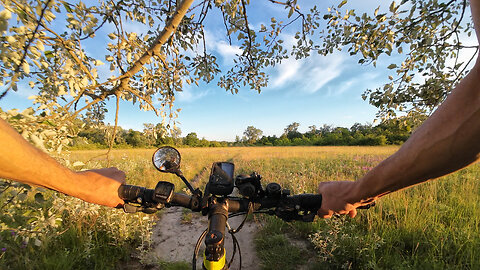 Cycling, 17.06.2024 [J] Lobau