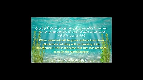 Part # 8 - Surah Al-Baqarah (The Cow) | Translation Verse 24 - 25 | HD #shorts