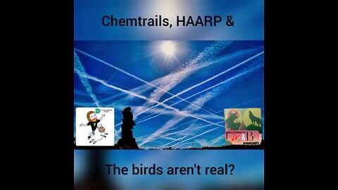 Chemtrails, HAARP & Birds arent real? - Swapcast w/Wolf & Bull Podcast