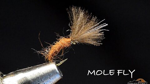 Mole Fly Tied by Charlie Craven