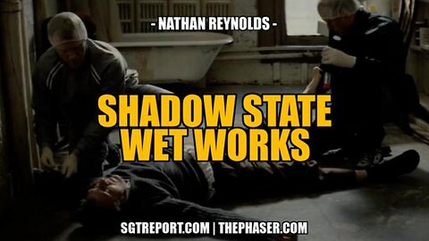 🚨 SHADOW STATE & CORPORATE WET WORKS‼️ - Nathan Reynolds w/ SGTReport