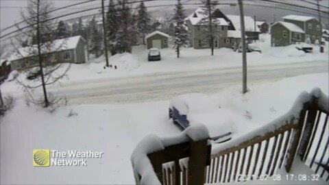 Timelapse: Multiple rounds of shovelling needed for Newfoundland storm