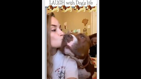 ☻ Top🤣Funny Dog Videos 2022🤣 It's time to LAUGH with Dog's life