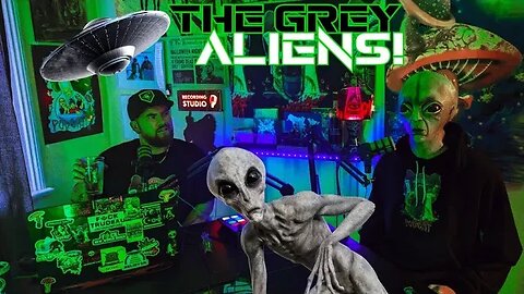 👽THE GREY ALIENS!🛸