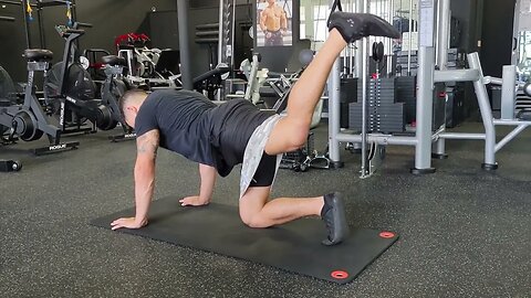 Quadruped Single Leg Hamstring Curls Glute Band