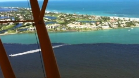 Bird's-eye view of algae across the St. Lucie Estuary and Lake Okeechobee