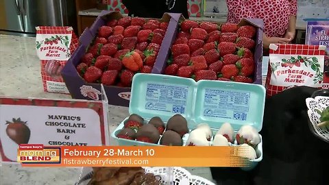 Florida Strawberry Festival|Morning Blend