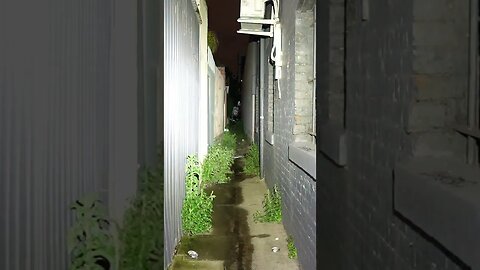 Nextorch E51C - alleyway beam shot #shorts