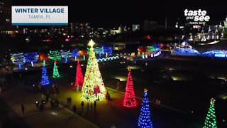 Giant Adventure: Winter Village at Tampa's Curtis Hixon Park