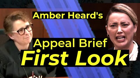 Amber's Brief is crammed with too many complaints and omits too many details - Attorney analysis