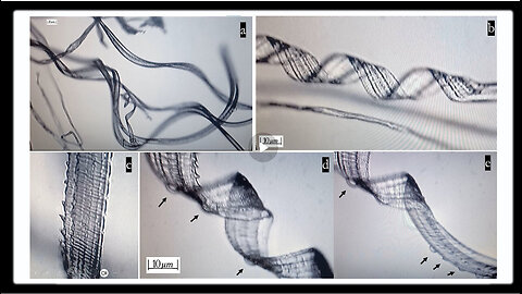 REESE REPORT - Recent Study Shows Self-Assembly Nanobots in the COVID-19 Injectables