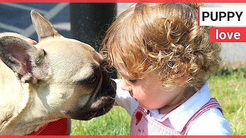 Vet parents of boy whose life was saved by doctor return favour by treating his DOG