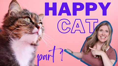 How To Raise A Happy Healthy Cat | Happy Cat Month September 2021 | Part 1