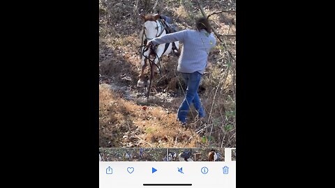 Horse does HIGH jump over creek.