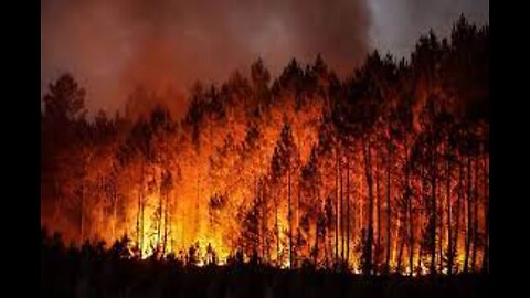 Extreme heat, wildfires stretch across UK, Spain, France and Portugal