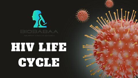 HIV Life Cycle