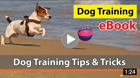 Dog Training eBook | Dog Training Tips and Tricks