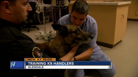 K9 handlers come together for presentation