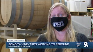 Sonoita Vineyard works to rebound from pandemic