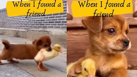 When I found a friend