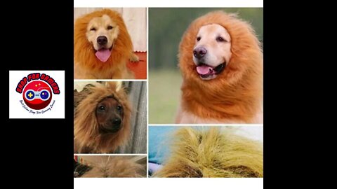 Lion Mane Costume For Dogs