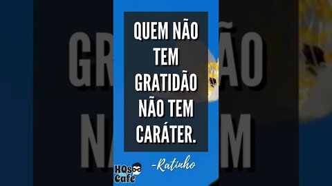 Frase do Ratinho | #shorts