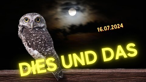 DIES UND DAS - 16.07.2024