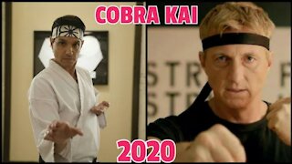 COBRA KIA TV SHOW CAST REAL NAMES AND AGE