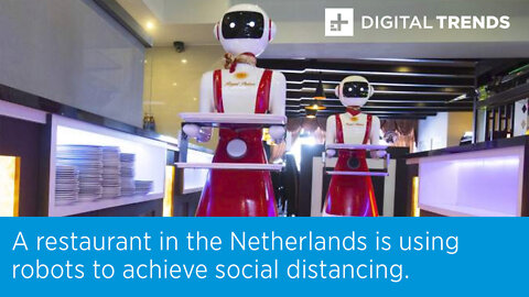 A restaurant in the Netherlands is using robots to achieve social distancing.