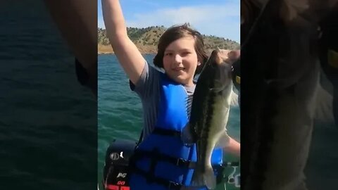 Kid Catches Giant Spotted Bass!!!