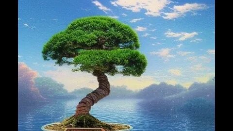 30 Minute Meditation - Letting Go (Bonsai)