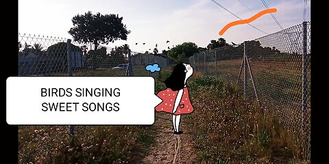 Birds singing Beautiful sweet songs