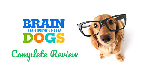 Brain Training For Dogs 👌 | Basic Dog Training 👌