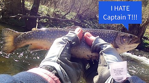 The Striper Blues Journal - Video Log 63 - 03-30-21 - The "T" in Captain T is for TROUT!!!