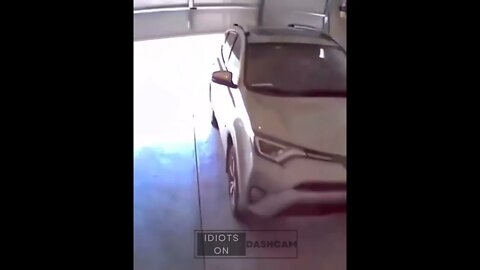 Idiot driver