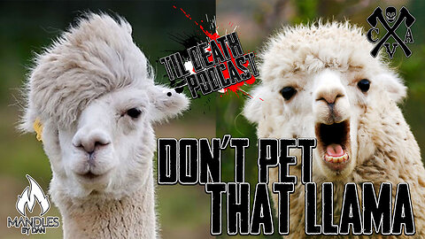 Don't Pet That Llama | Til Death Podcast | CLIP