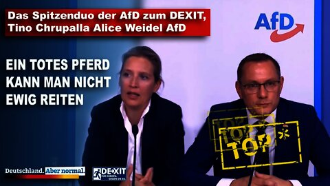 Das Spitzenduo der AfD zum DEXIT, Tino Chrupalla Alice Weidel AfD