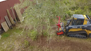 Land Clearing Florida Scrub