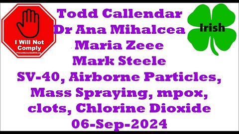 Todd Callendar, Dr Mihalcea, Maria Zeee, Mark Steele 06-Sep-2024