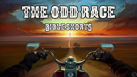 BBB Shorts - The Odd Race