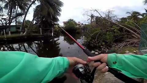 Bank fishing TARPON, Catching tarpon, Travel belize, Bank fishing Bellize