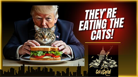 They're Eating the dogs, they're eating the cats! Cash & Capitol podcast